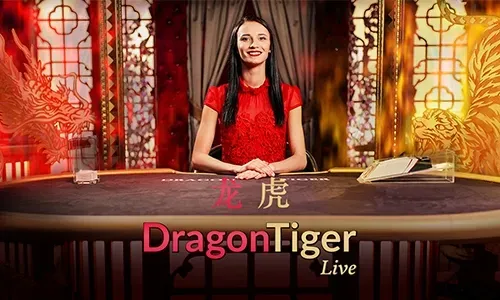 yy777 Online Casino Platform Overview